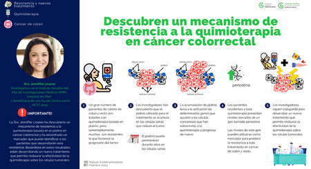 Descubren Un Mecanismo De Resistencia A La Quimioterapia En C Ncer